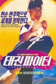 Taekwon Fighter 1995 one on netflix