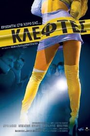 Thieves 2007 one on netflix