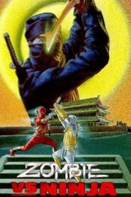 Zombie vs. Ninja 1987 one on netflix