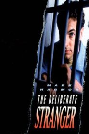The Deliberate Stranger 1986 one on netflix