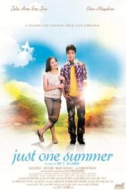Just One Summer 2012 one on netflix