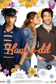 Haal-e-Dil 2008 one on netflix