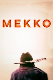 Mekko 2015 one on netflix
