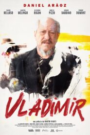 Vladimir 2024 one on netflix