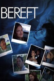 Bereft 2004 one on netflix