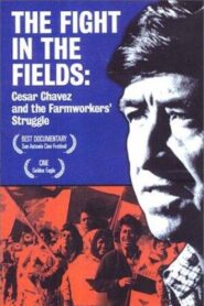 The Fight In The Fields 1997 one on netflix