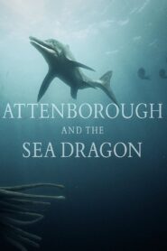 Attenborough and the Sea Dragon 2018 one on netflix