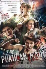 Pukulan Maut 2014 one on netflix