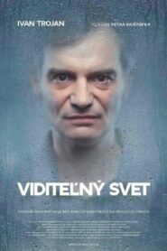 Visible World 2011 one on netflix