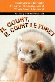 Il court, il court, le furet… 2003 one on netflix