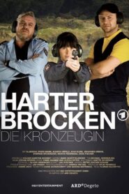Harter Brocken: Die Kronzeugin 2017 one on netflix