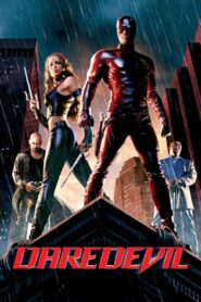 Daredevil 2003 one on netflix