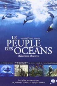 Kingdom of the Oceans 2011 one on netflix
