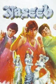 Naseeb 1981 one on netflix
