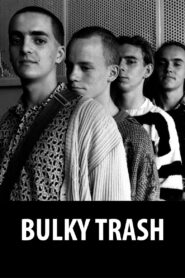 Bulky Trash 1991 one on netflix