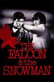 The Falcon and the Snowman 1985 one on netflix