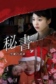 Passions of a Private Secretary 2008 one on netflix
