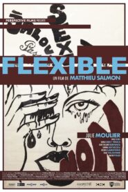 Flexible 2018 one on netflix