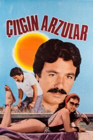 Çılgın Arzular 1984 one on netflix