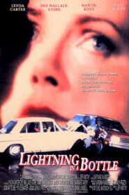 Lightning in a Bottle 1993 one on netflix