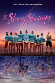 The Shiny Shrimps 2019 one on netflix