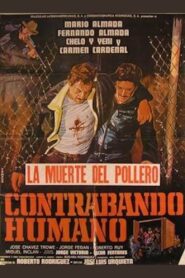 Contrabando Humano 1982 one on netflix