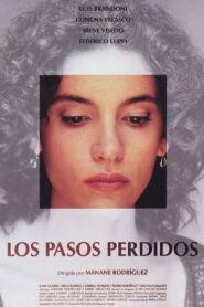Los pasos perdidos 2001 one on netflix
