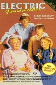 The Electric Grandmother 1982 one on netflix