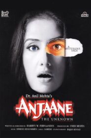 Anjaane: The Unkown 2005 one on netflix