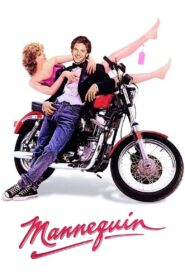 Mannequin 1987 one on netflix