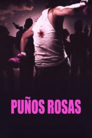 Pink Punch 2004 one on netflix