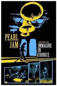 Pearl Jam: Immagine in Cornice 2007 one on netflix