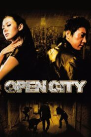 Open City 2008 one on netflix