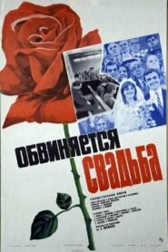 The Wedding Is Accused 1986 one on netflix