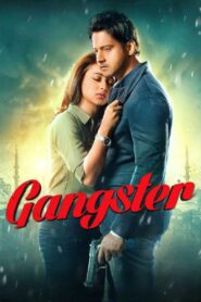 Gangster 2016 one on netflix