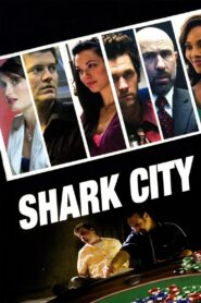 Shark City 2009 one on netflix