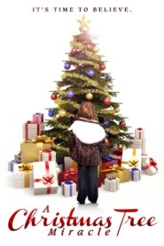 A Christmas Tree Miracle 2013 one on netflix