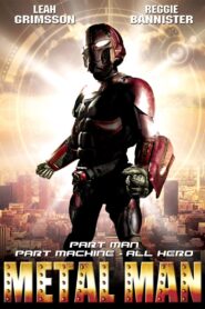 Metal Man 2008 one on netflix