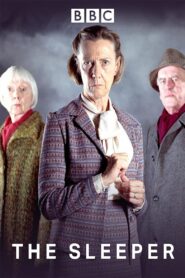 The Sleeper 2000 one on netflix