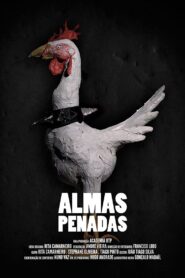 Almas Penadas 2013 one on netflix