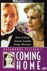 Coming Home 1998 one on netflix