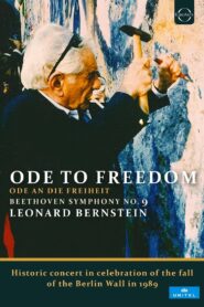 Ode to Freedom 1989 one on netflix