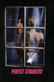 Perfect Strangers 1984 one on netflix