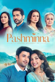 Pashminna – Dhaage Mohabbat Ke 2023 one on netflix