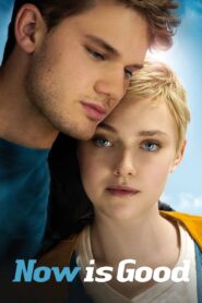 Now Is Good 2012 one on netflix