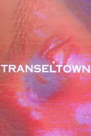 Transeltown 1992 one on netflix