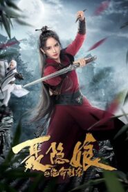 The Assassination of Nie Yinniang 2022 one on netflix