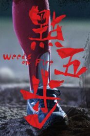 Weeds on Fire 2016 one on netflix