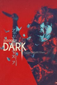 Suddenly in the Dark 1981 one on netflix