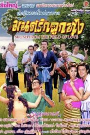 The Field of Love 2005 one on netflix
